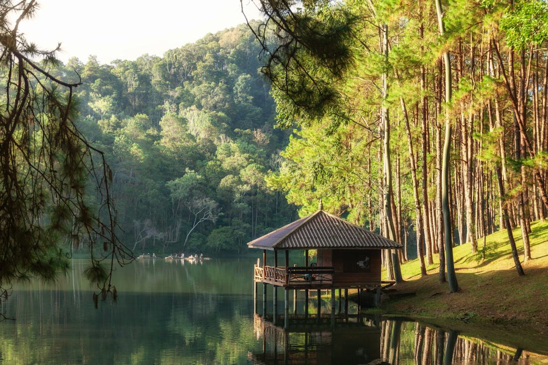 A wooden cabin on stilts over a calm green lake, framed by tall pine trees in soft morning light