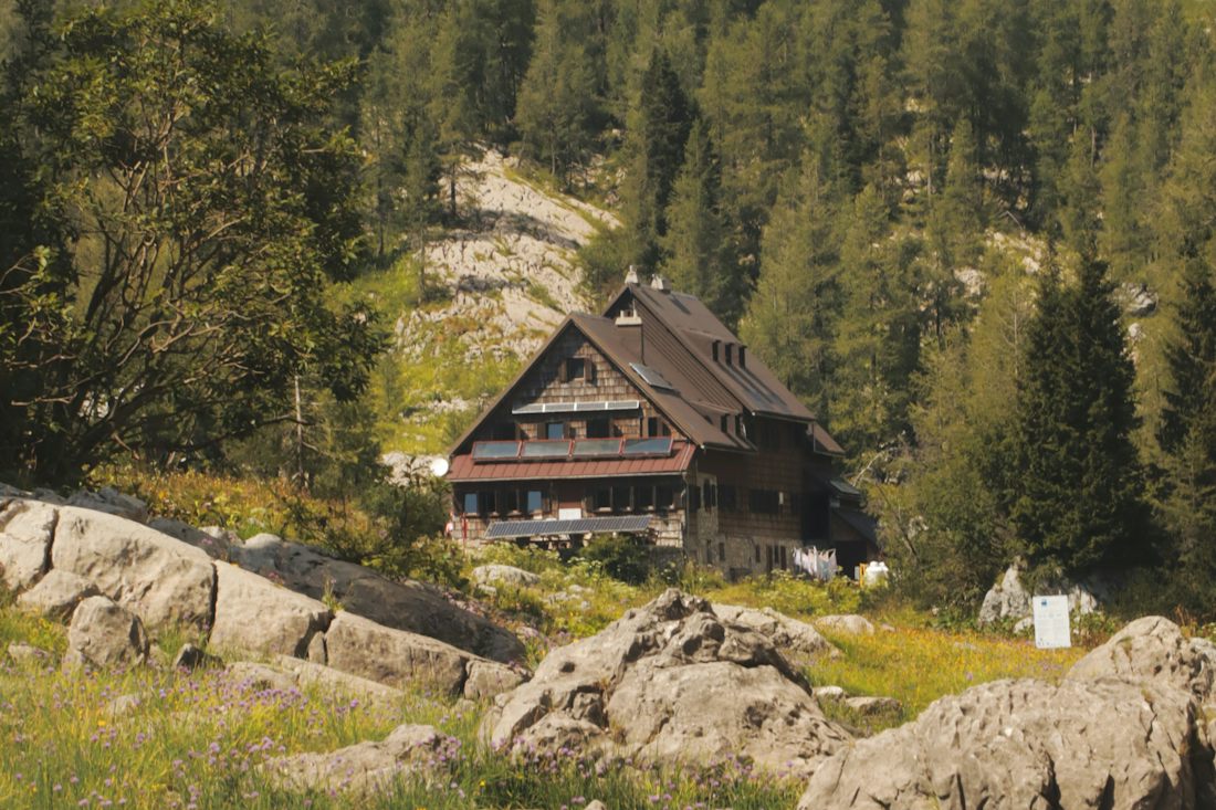 A large wooden mountain refuge among larch trees, with limestone boulders and wildflowers in the foreground