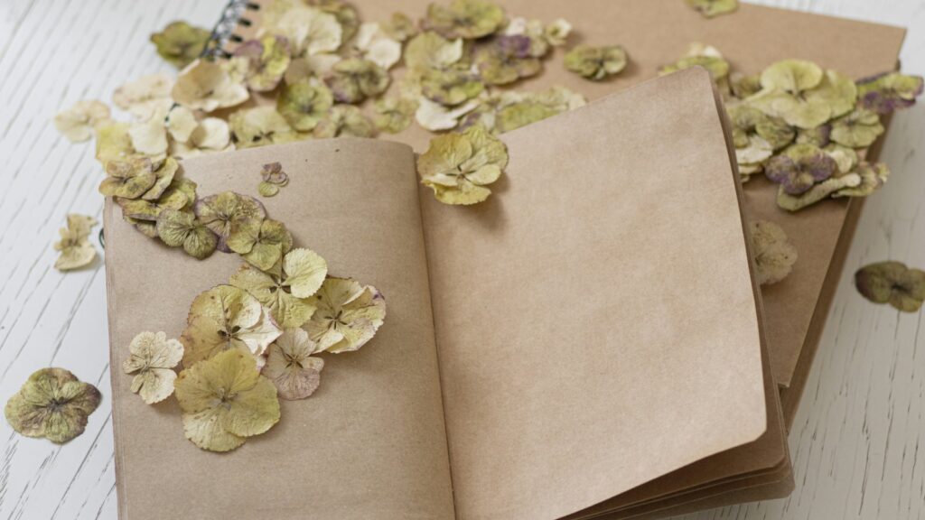 An open kraft-paper notebook scattered with dried pale green hydrangea petals